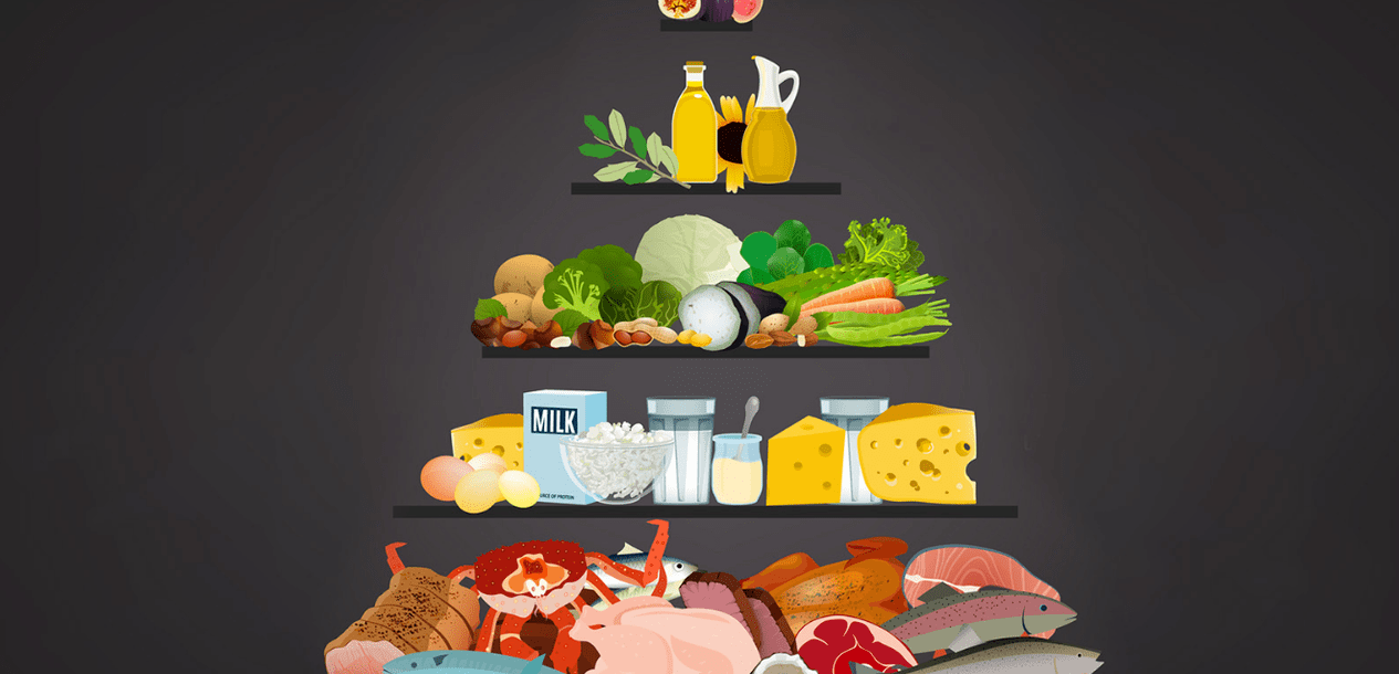 Dieta proteica